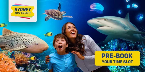 COMBO TICKETS PRE BOOK 1200X600 SLS